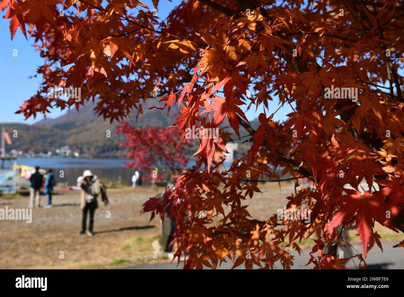 Un gruppo di persone si sta godendo una passeggiata panoramica all'aperto in un parco con alberi adornati da vivaci foglie arancioni, con un lago tranquillo sullo sfondo Foto Stock