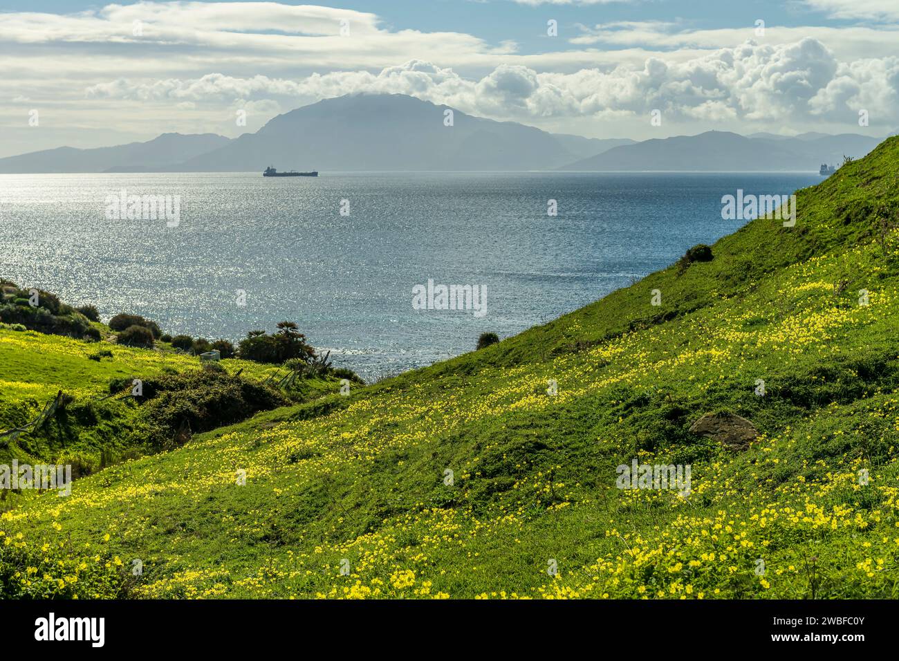 Soleggiato paesaggio costiero caratterizzato da un prato con fiori selvatici gialli, una nave all'orizzonte e montagne stratificate Foto Stock