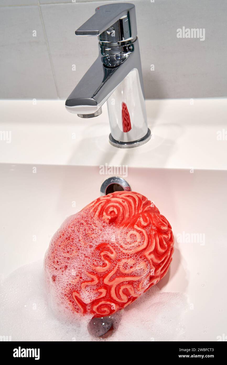 Red Rubber Human Brain Under a Sink Faucet, concetto di lavaggio del cervello. Foto Stock