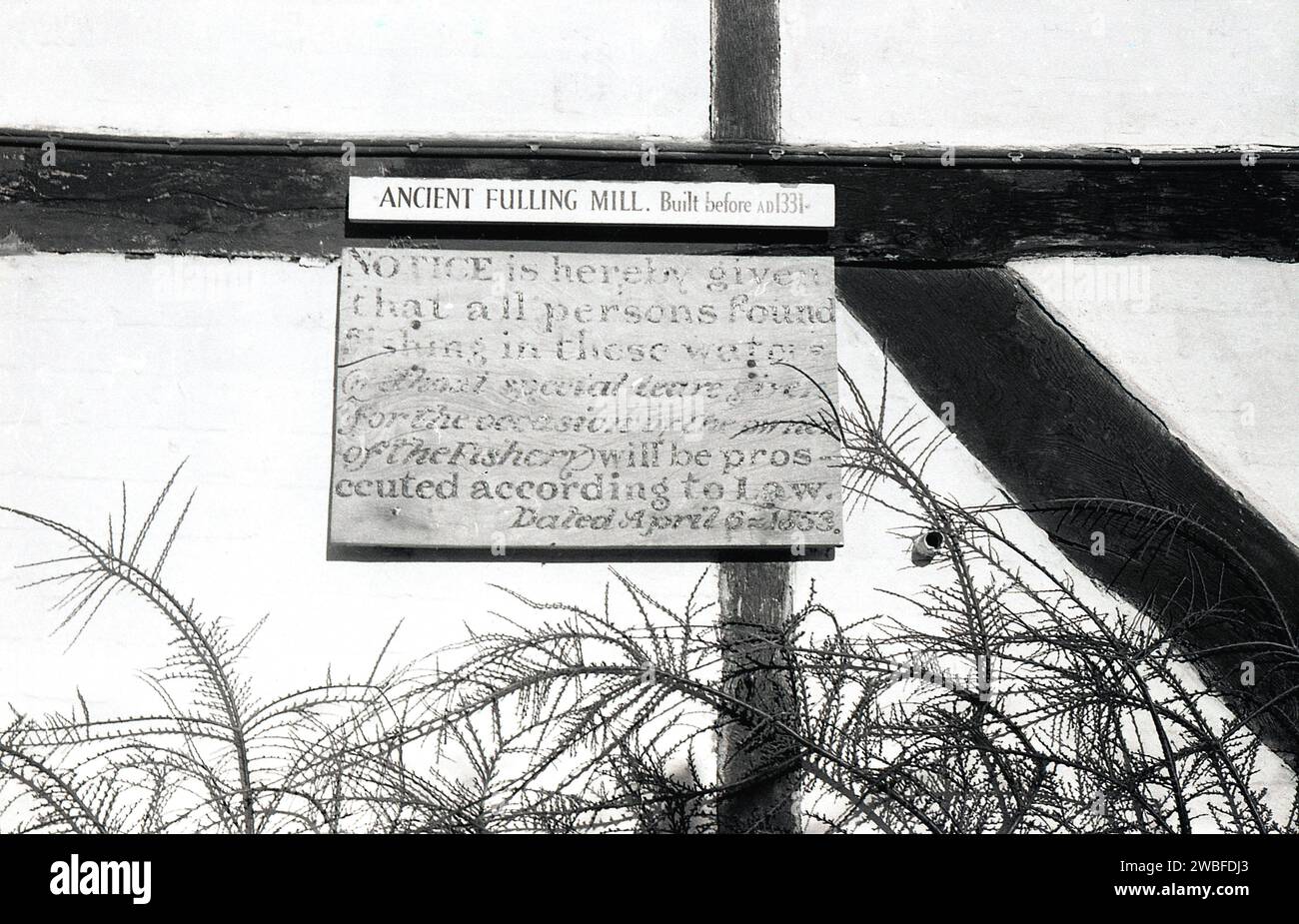 1960, storico, scritto su un vecchio edificio con struttura in legno di paglia ad Alresford, sopra il fiume Alre sono le parole: Fulling Mill. Costruito prima dell'AD1331..... Sotto questo avviso c'è scritto... Non è consentita la pesca nel fiume....datato 1853. Foto Stock