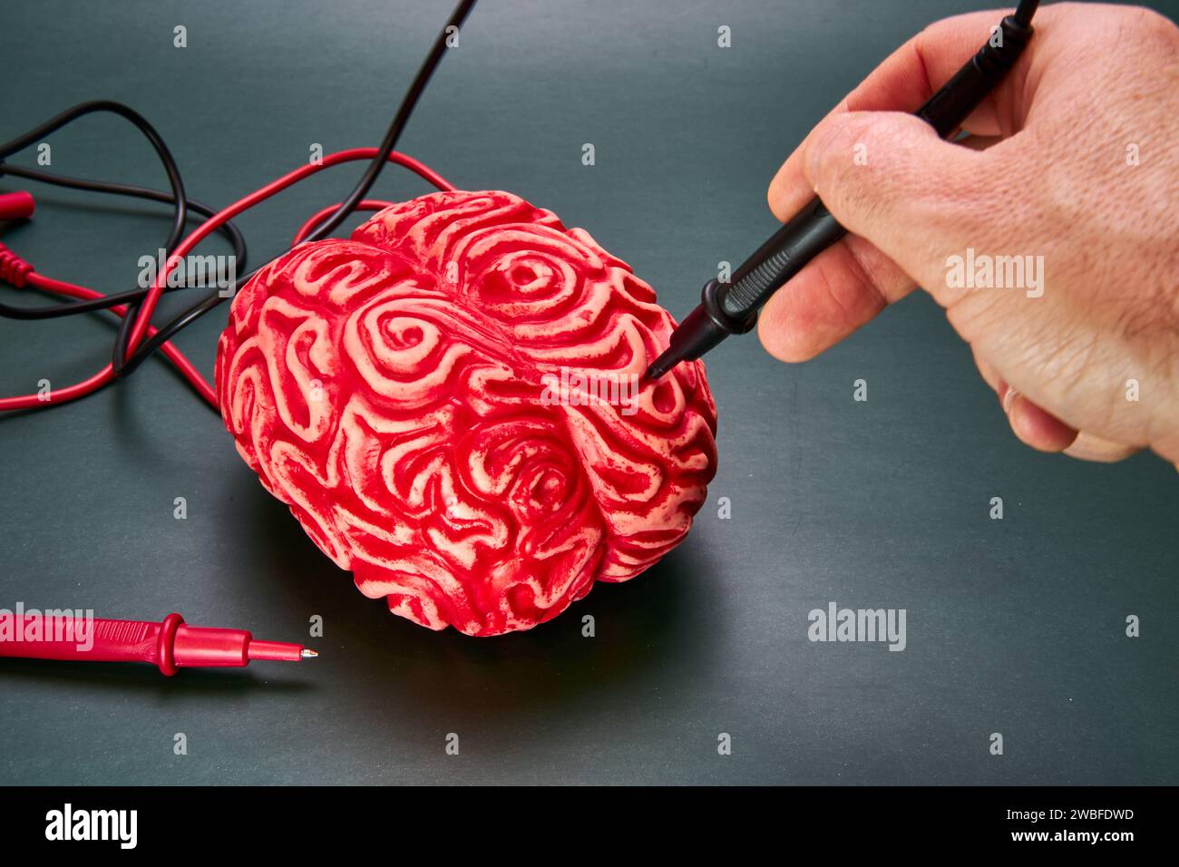 Mano dell'uomo che collega gli elettrodi a un cervello umano rosso finto su sfondo verde scuro. Foto Stock