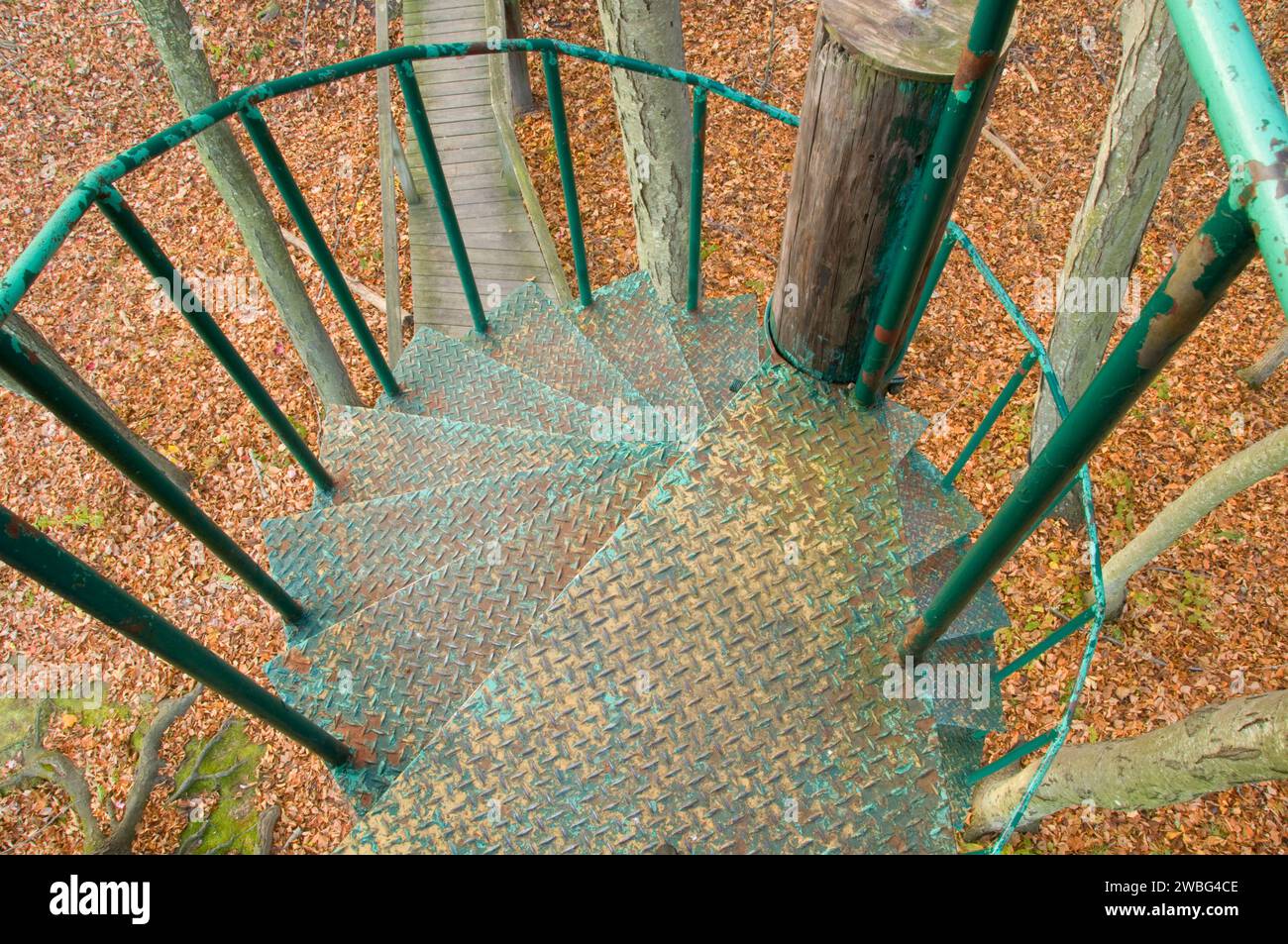 Scale della torre di osservazione, Arcadia Wildlife Sanctuary, Massachusetts Foto Stock