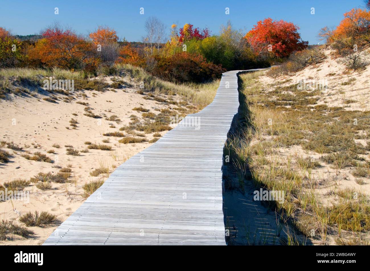 Passeggiata sul lungomare delle dune, Parker River National Wildlife Refuge, Massachusetts Foto Stock