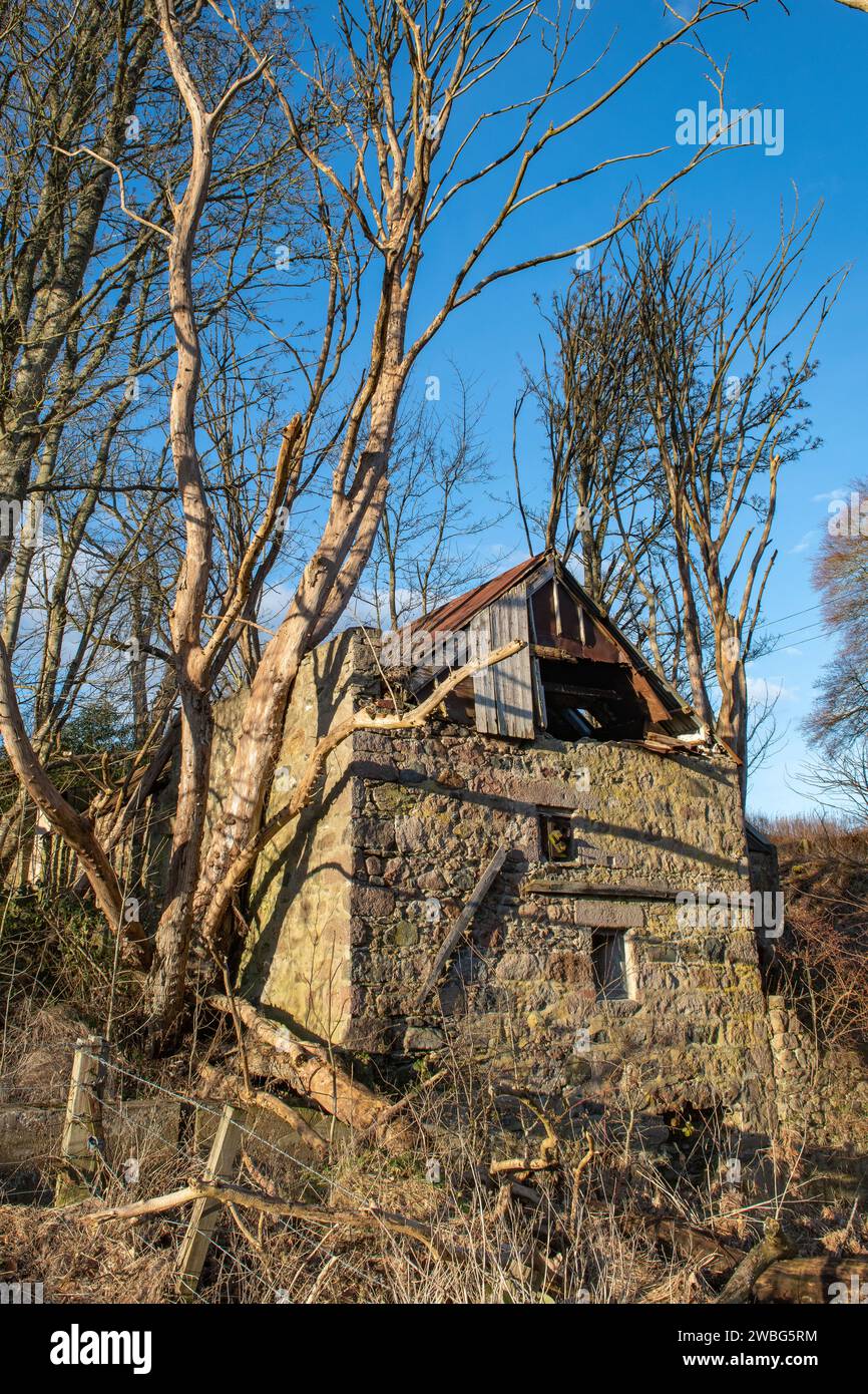 Ardtannes Mill, River Don, Inverurie, Aberdeenshire, Scozia Foto Stock