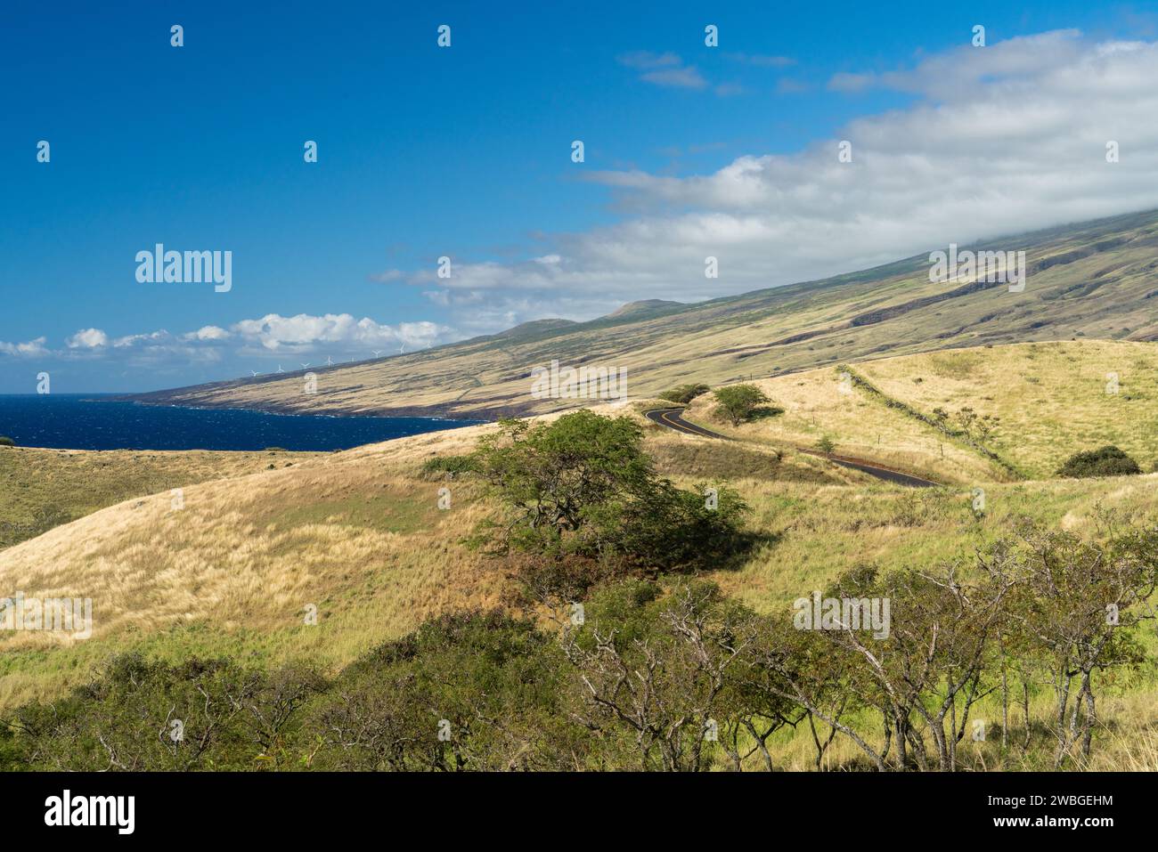 Le ampie vedute della costa di Maui e delle colline erbose offrono una perfetta miscela di tranquillità e avventura. Foto Stock