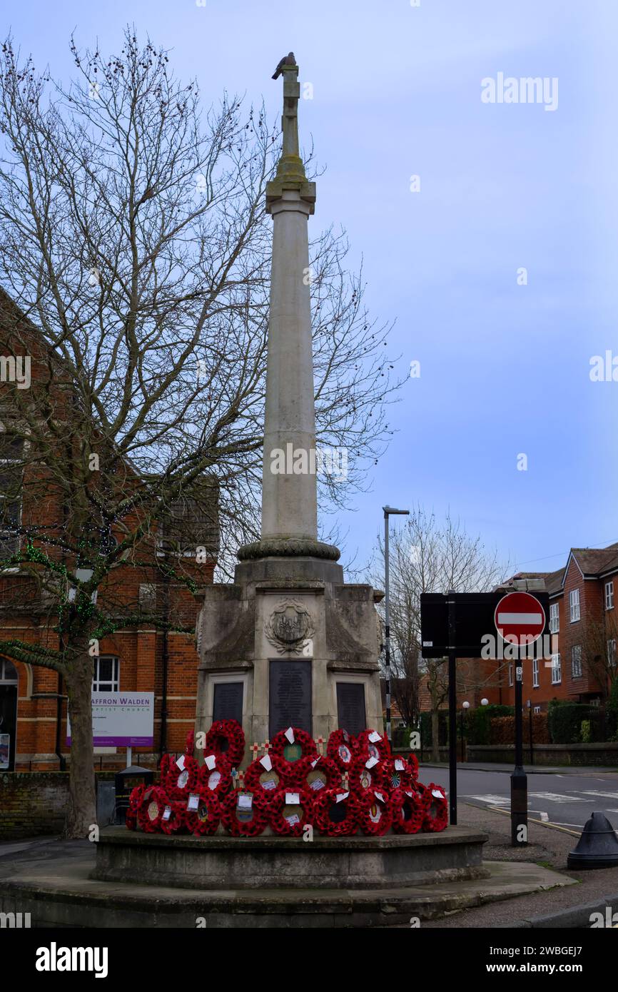 Monumento commemorativo alla guerra di Walden con corone di zafferano Foto Stock