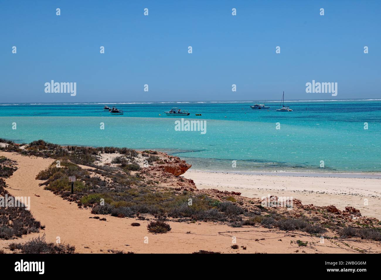 Coral Bay, Australia occidentale Foto Stock