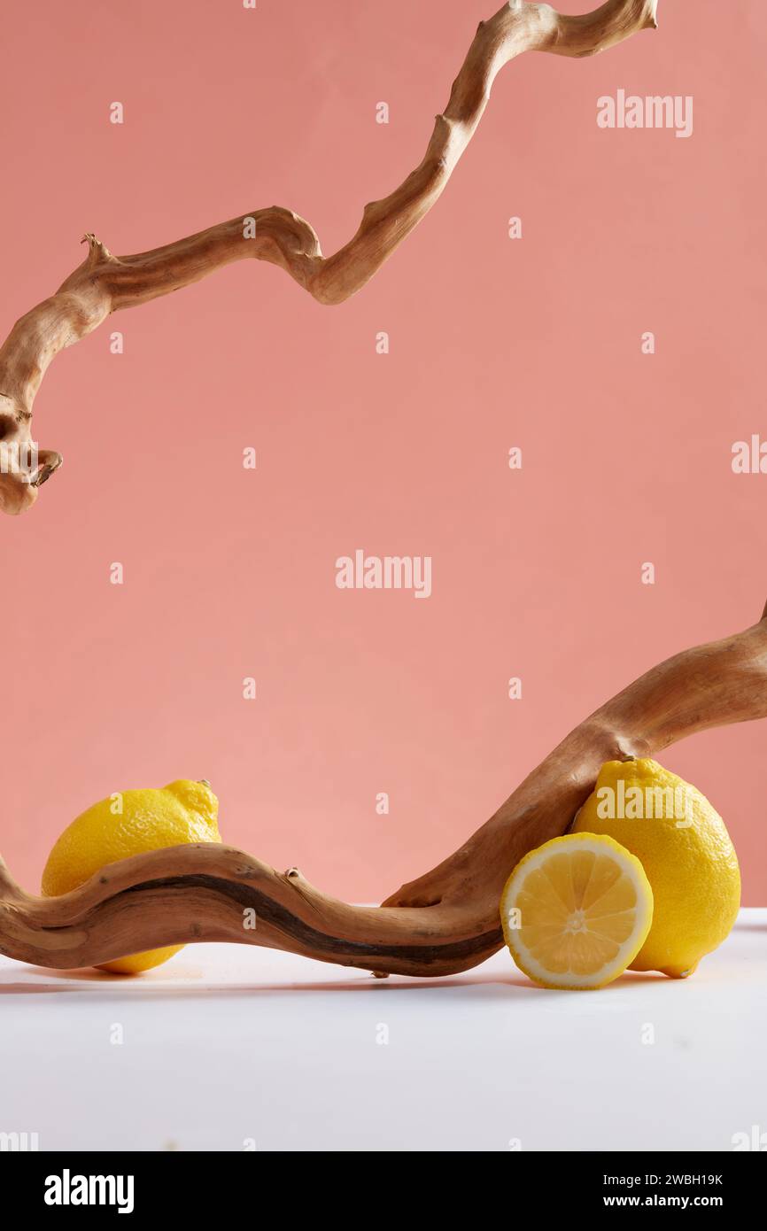 Scena minimale astratta per pubblicizzare cosmetici con ingredienti di limone. Limoni freschi, metà limone e ramoscelli secchi decorati su sfondo rosa. B Foto Stock