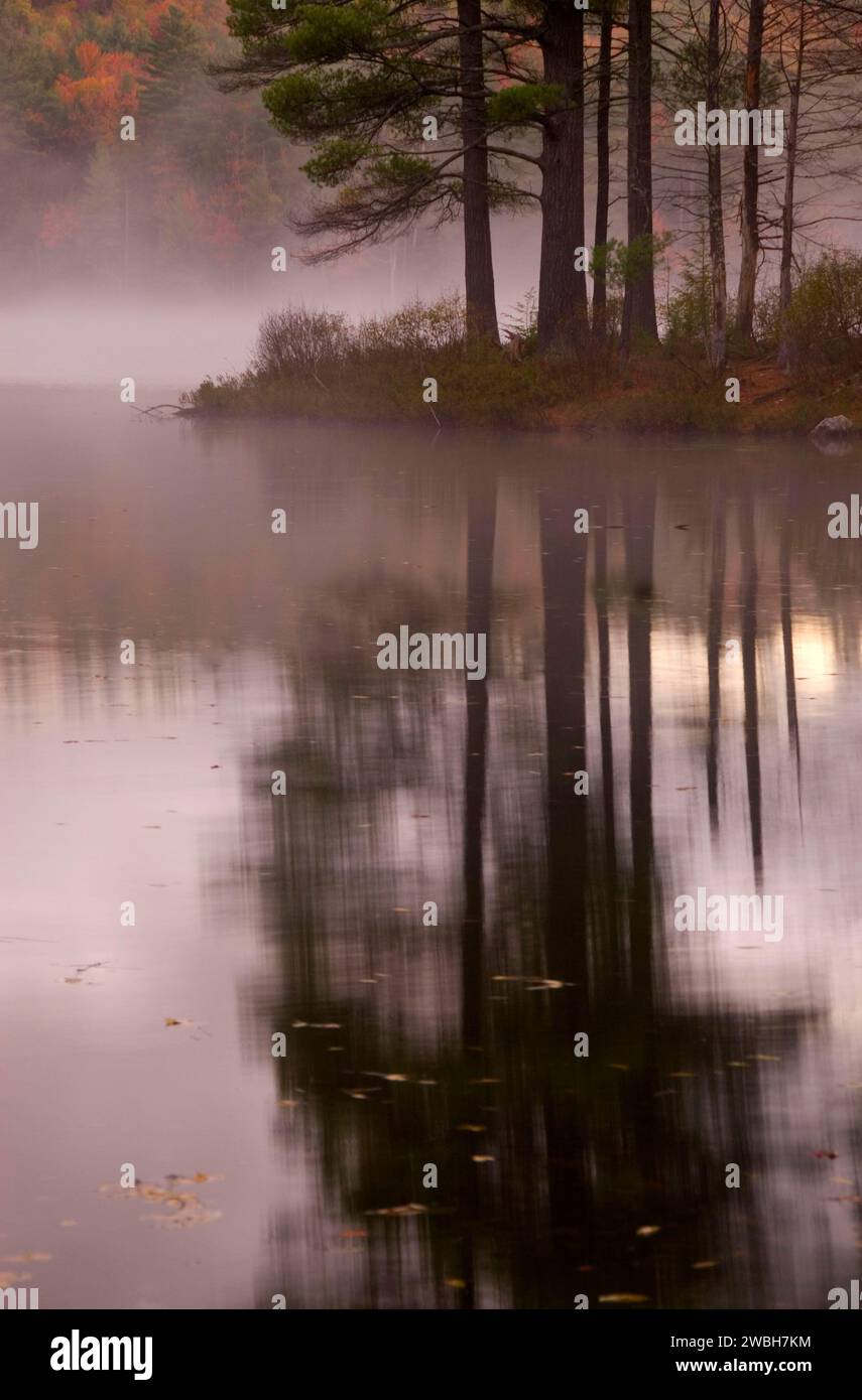 Lowell Lago, Lowell lago del Parco Statale, Vermont Foto Stock