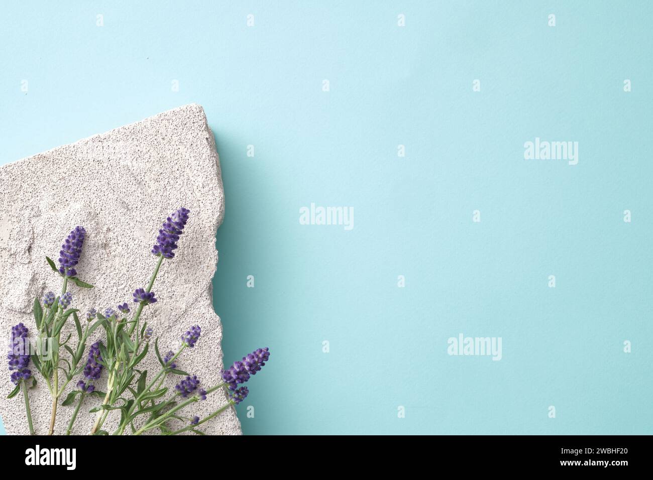Lavanda in fiore posizionata su un blocco di pietra grigio su sfondo pastello. Scenografia minima per pubblicità, esposizione di prodotti e spazio per testo. Lavanda maggio Foto Stock