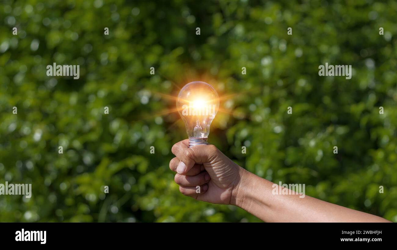 Mano che regge una lampadina, fondo a foglia verde, energia naturale e concetto ambientale. Foto Stock