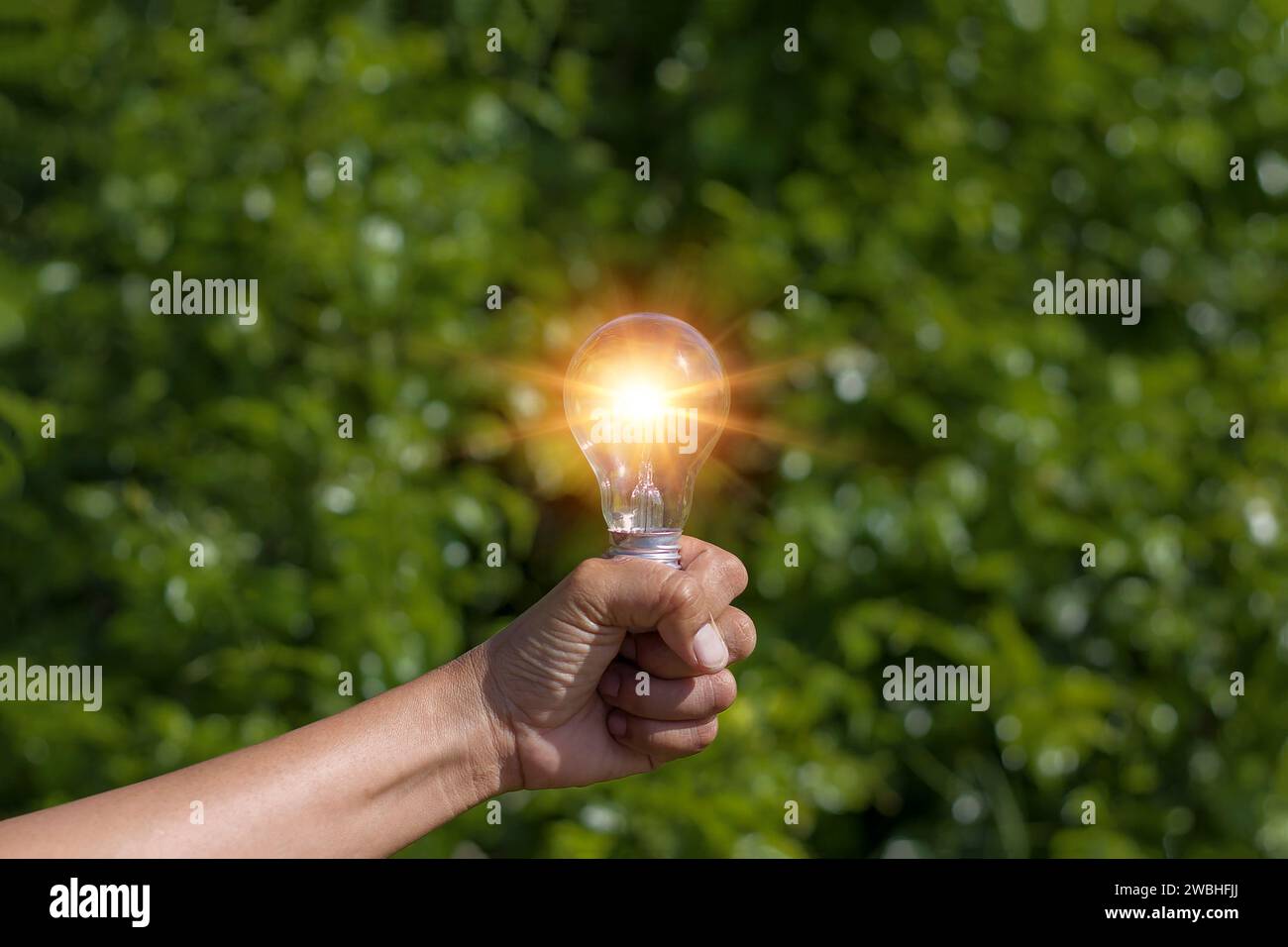 Mano che regge una lampadina, fondo a foglia verde, energia naturale e concetto ambientale. Foto Stock