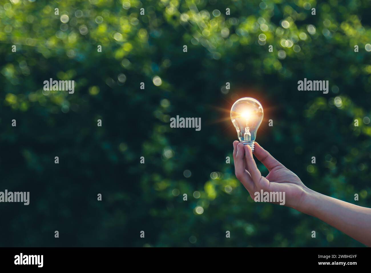 Lampada portatile, energia naturale e amore per il concetto mondiale. Foto Stock