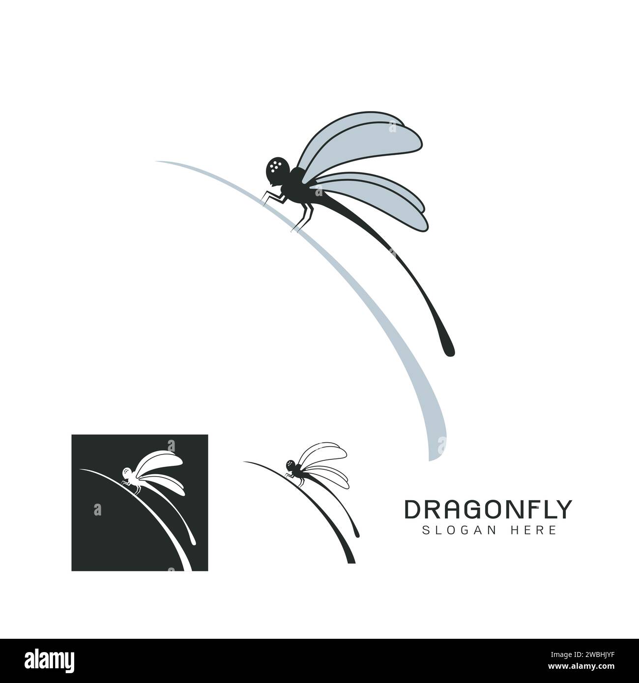 Set di bellissime icone con logo, immagine stilizzata del modello di logo Dragonfly su foglia, tatuaggio Dragonfly, disegno della linea Dragonfly su sfondo bianco Vector i Illustrazione Vettoriale
