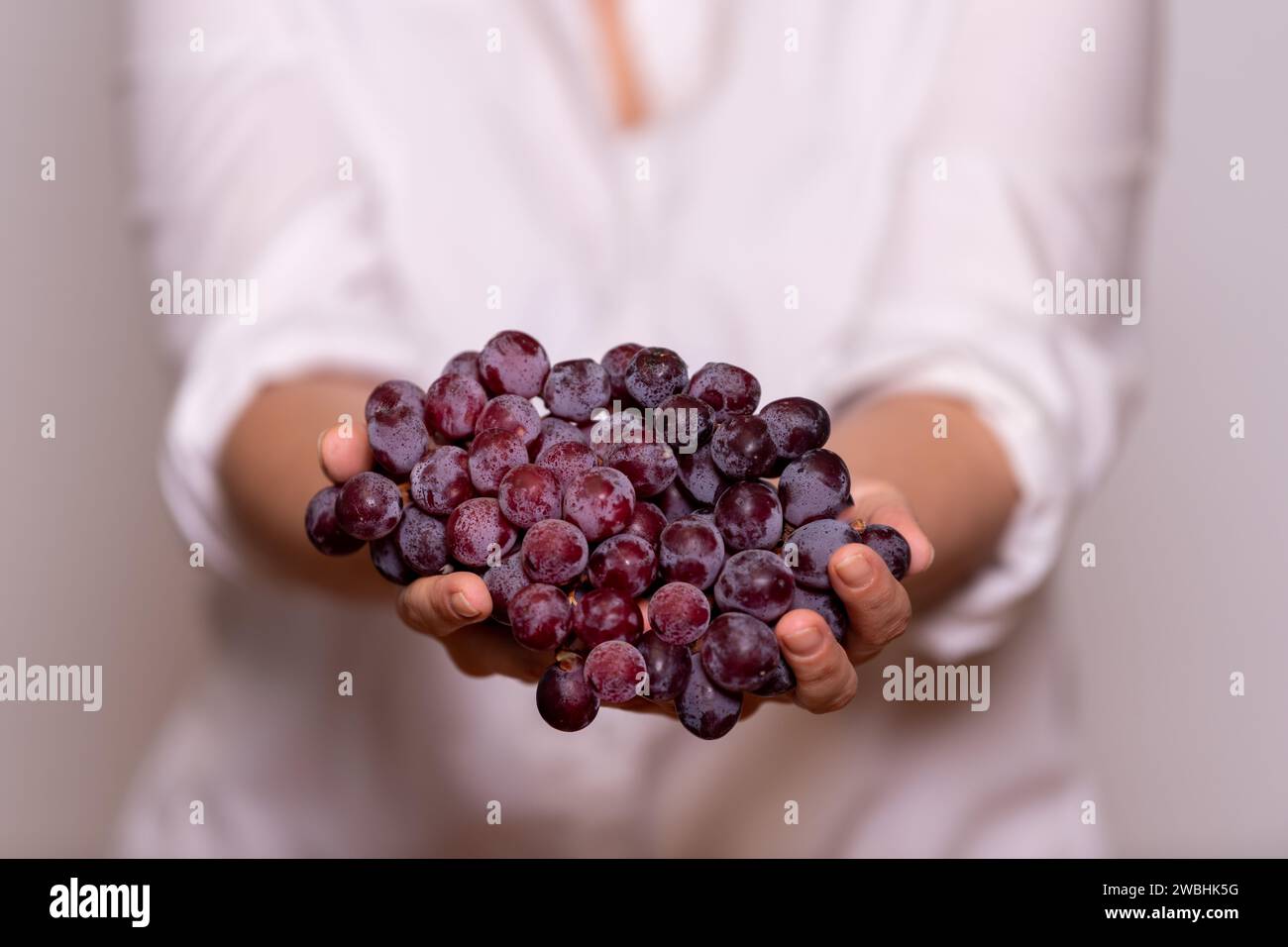 Donna con camicia bianca e sfondo bianco che tiene in mano un mucchio di uva rossa. Concetto di vinificazione. Foto Stock