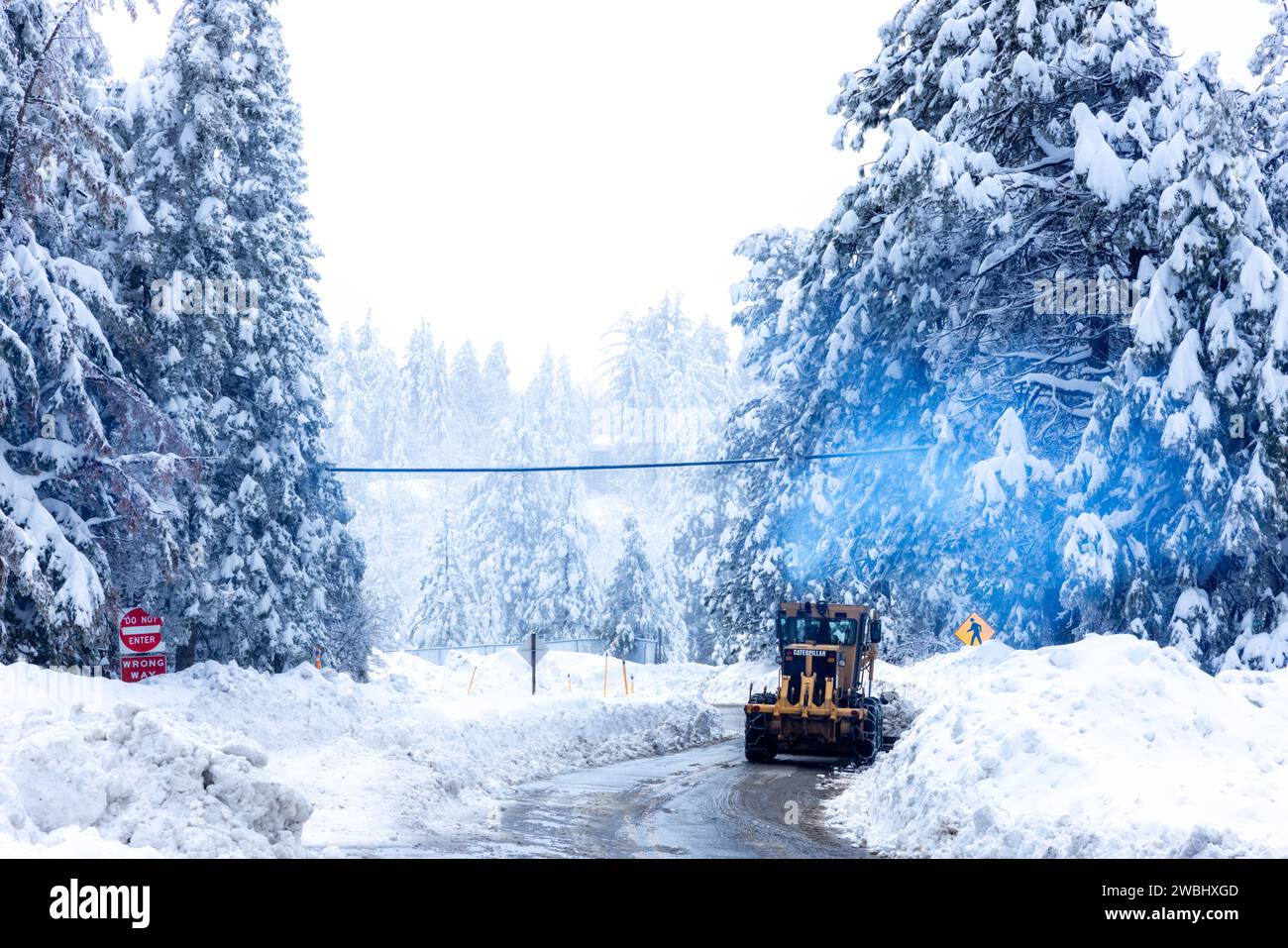 Il guardiano invernale di Big Bear in azione! Foto Stock