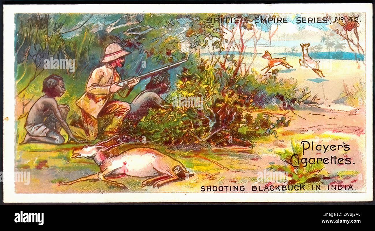 Fotografare Blackbuck in India - illustrazione di carte da sigarette d'epoca Foto Stock