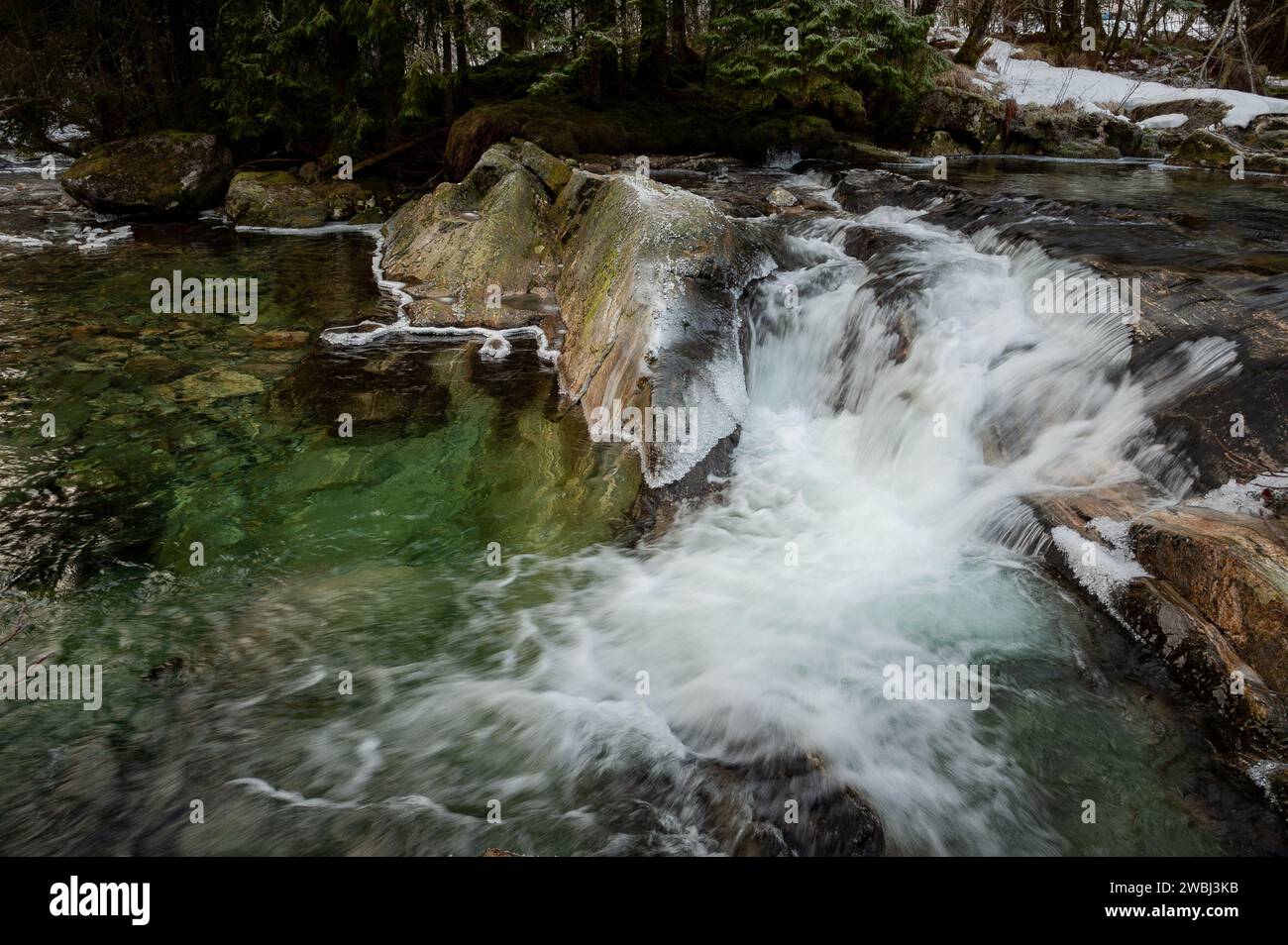 Un sereno torrente di montagna scorre su rocce ricoperte di muschio con macchie di neve aggrappate alle rive boscose. Foto Stock