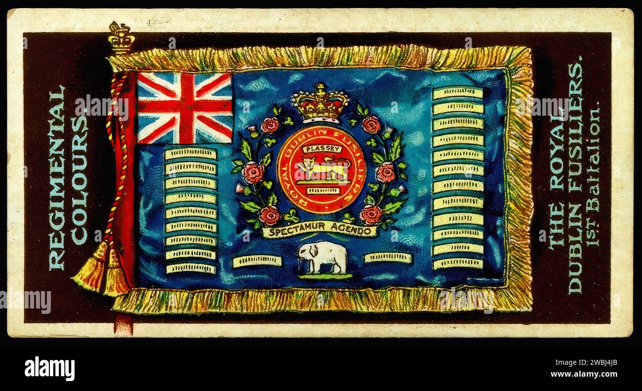 Colori Regimental dei Royal Dublin Fusiliers - illustrazione della carta di sigaretta d'epoca Foto Stock