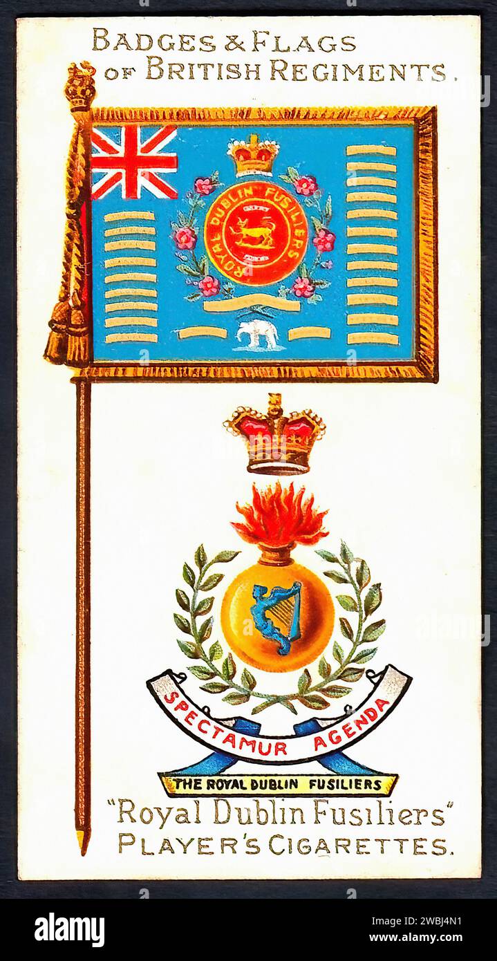 Royal Dublin Fusiliers - illustrazione della carta di sigaretta d'epoca Foto Stock