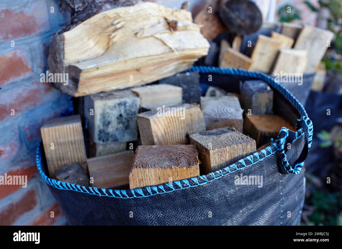 Sacchetto di legna da ardere. Preparazione per un picnic in natura o accensione della fornace. Concetto di viaggio e turismo Foto Stock