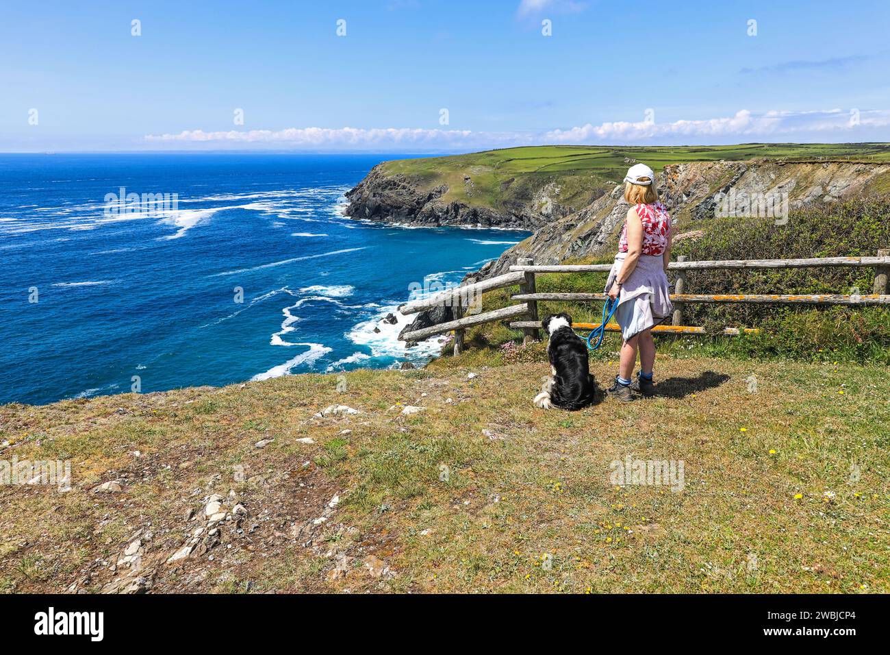 Una donna e il suo cane che guardano il mare ammirano la vista dal South West Coast Path, Predannack, Cornovaglia, Inghilterra, Regno Unito Foto Stock