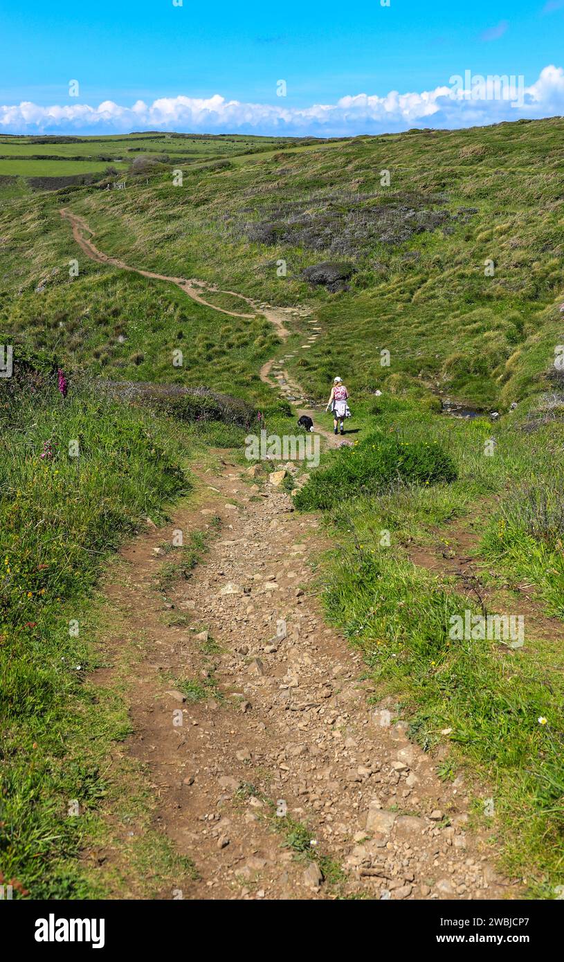 Una donna che cammina il suo cane lungo il percorso della South West Coast a Predannack, Cornovaglia, Inghilterra, Regno Unito Foto Stock