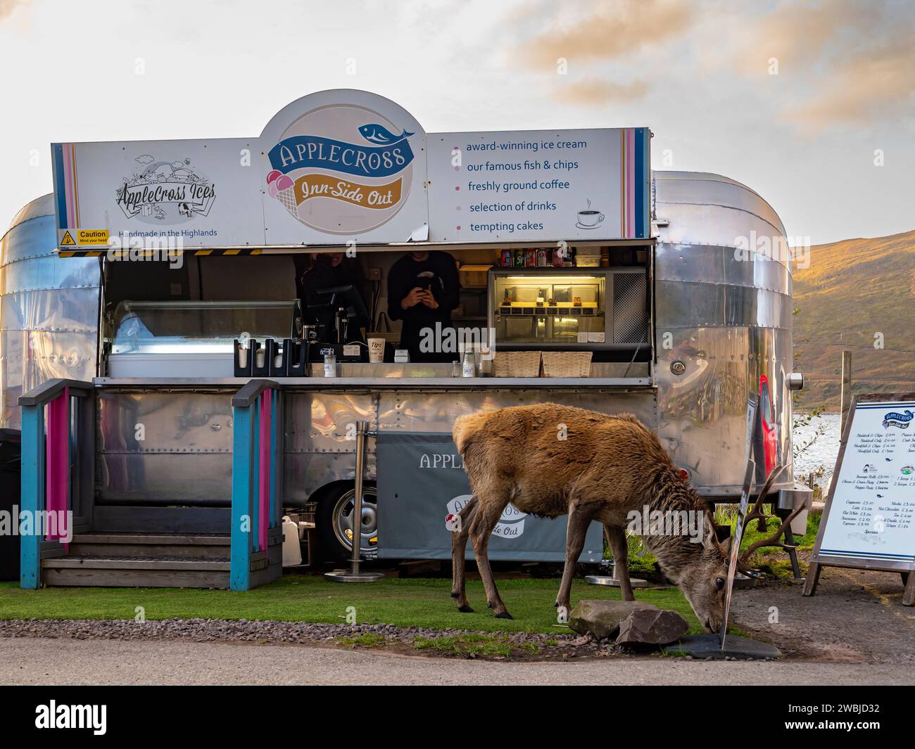 All'interno dell'hotel c'è un camion di cibo rétro fuori dall'Applecross Inn con un cervo che mangia di fronte, Applecross, Wester Ross, Scozia, Regno Unito, Highlands, Gran Bretagna Foto Stock