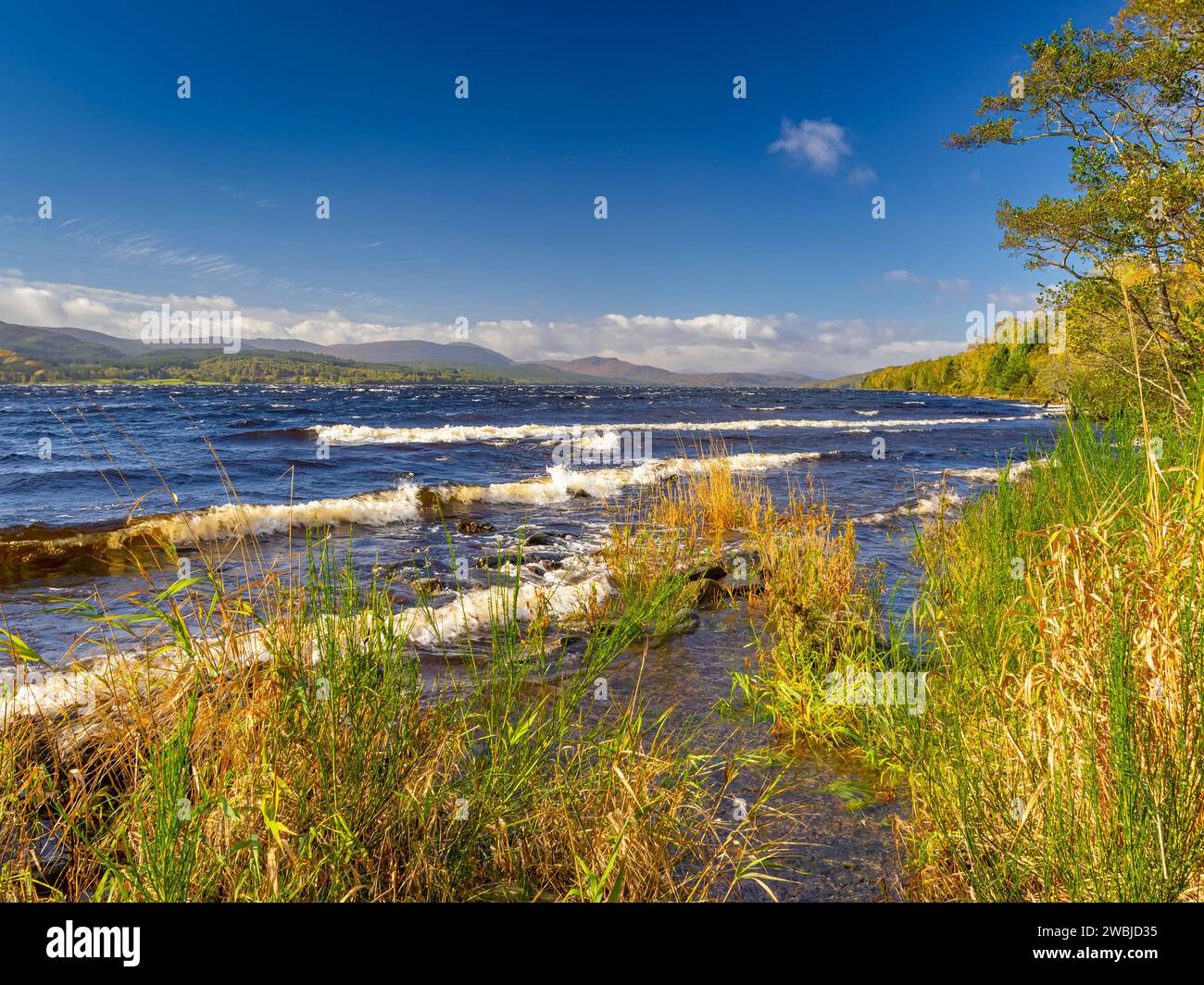 Loch Rannoch in autunno, Perthshire, Highlands, Scozia Gran Bretagna Regno Unito 2023 Foto Stock