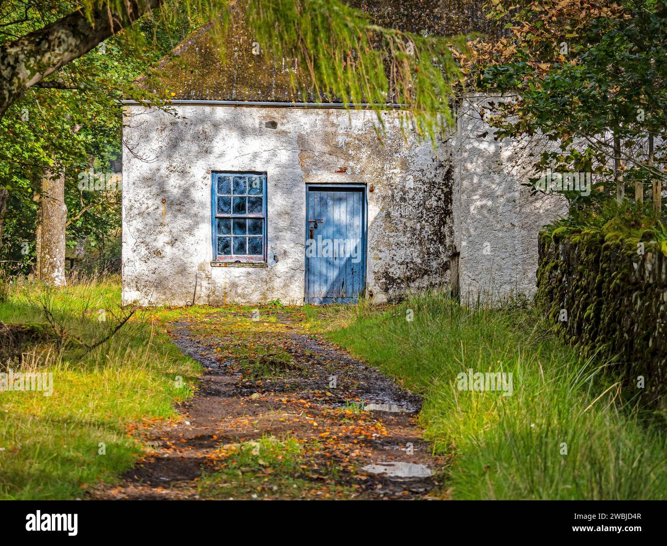 Un edificio di campagna bianco sbiadito a un piano con una porta e finestra blu sbiadite circondate da luci soffuse, Applecross Highlands Scotland 2023 Foto Stock