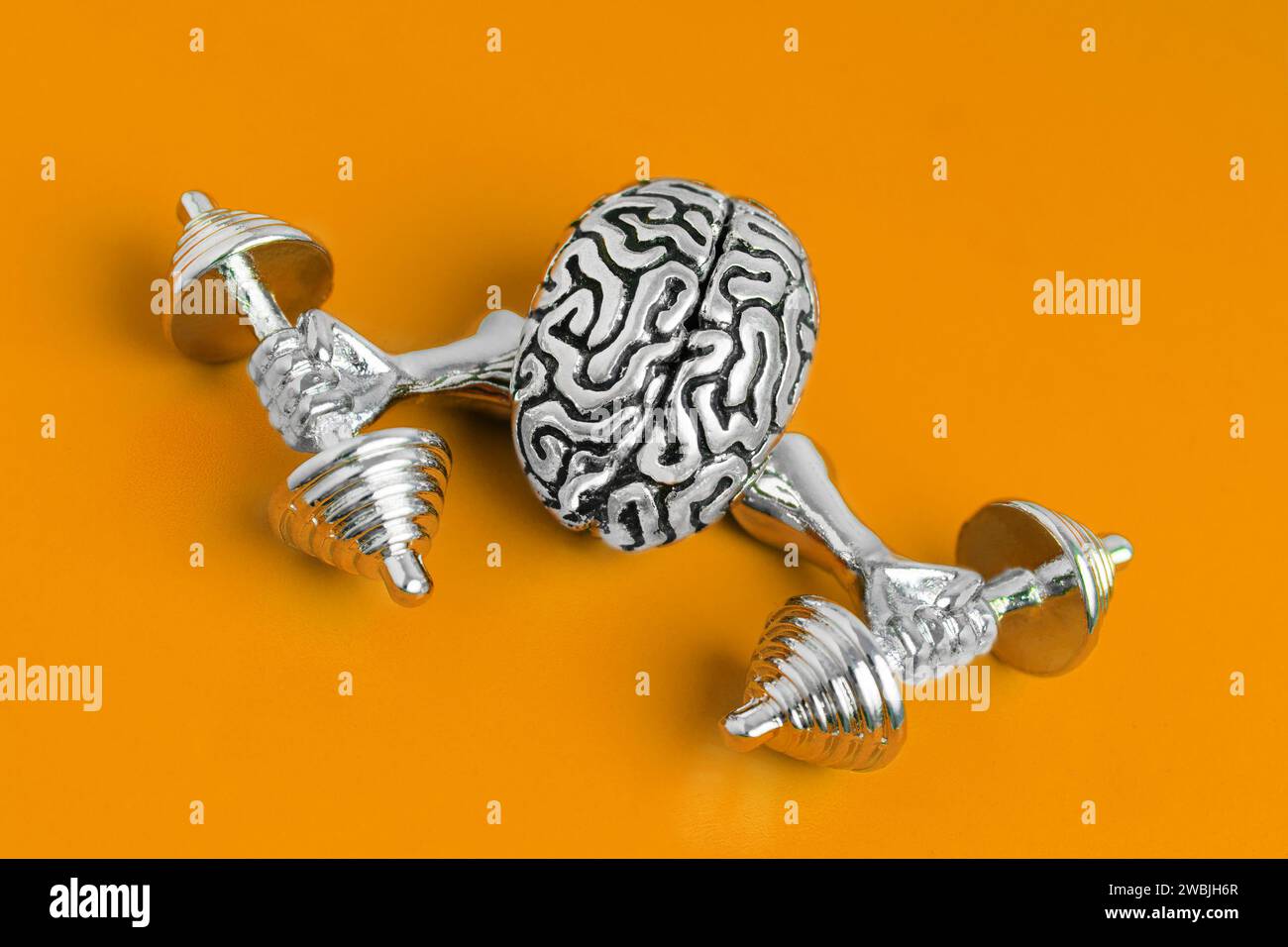 Copia anatomica di un allenamento cerebrale umano con pesi isolati su sfondo arancione. Foto Stock