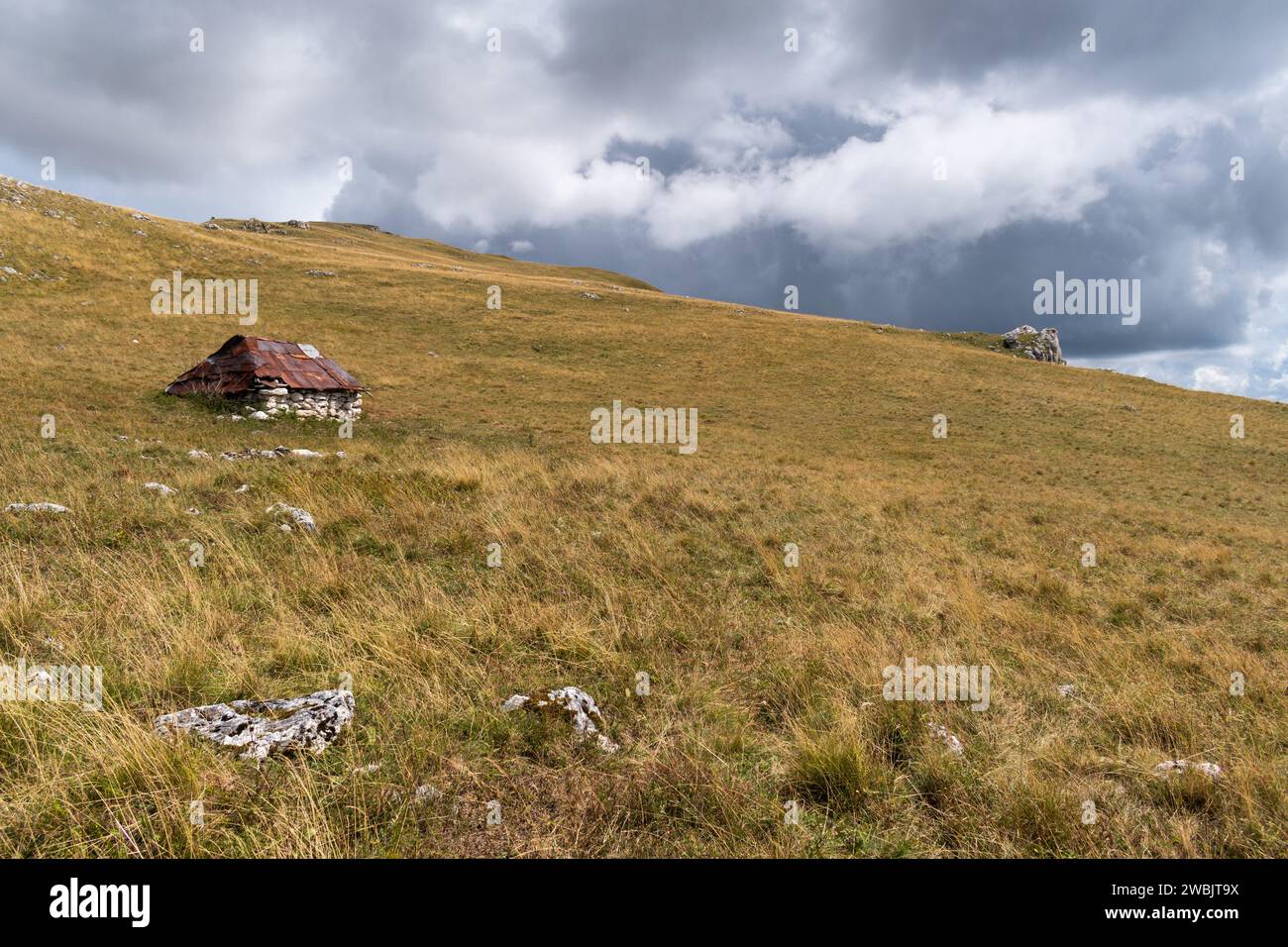 Vecchia capanna del pastore abbandonata in mezzo al pascolo sul versante del monte Vlasic, pareti in pietra e lastre di metallo arrugginite sul tetto Foto Stock