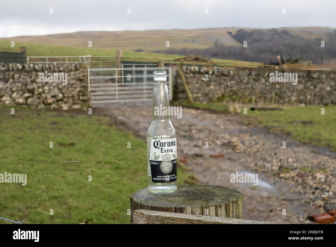 Malham Tarn è un lago glaciale nei pressi del villaggio di Malham nel Yorkshire Dales, Inghilterra. Il lago è uno degli otto di montagna laghi alcalino in Europ Foto Stock