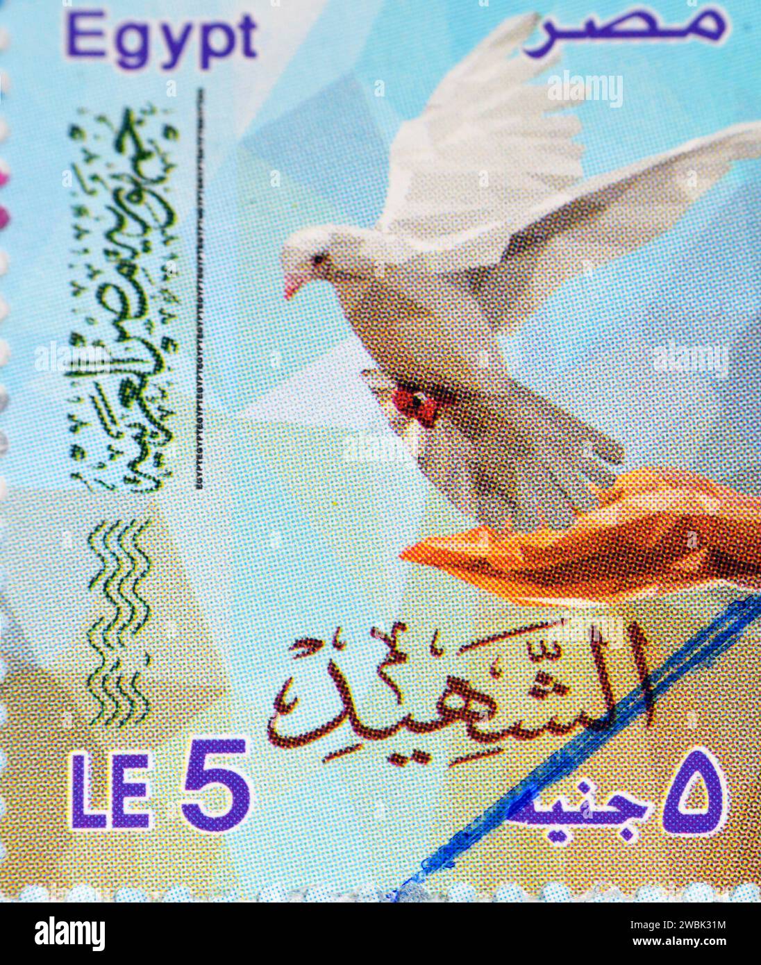 Cairo, Egitto, 10 gennaio 2024: Francobollo martire, francobollo martire usato, Repubblica araba d'Egitto, valore di 5 sterline egiziane per il francobollo, Foto Stock