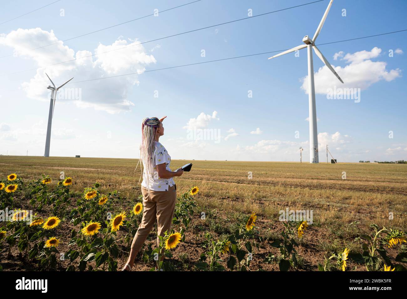 giovane donna con tablet in campo con girasoli studia turbine eoliche per la produzione di energia verde, eco-energia, turbine eoliche Foto Stock