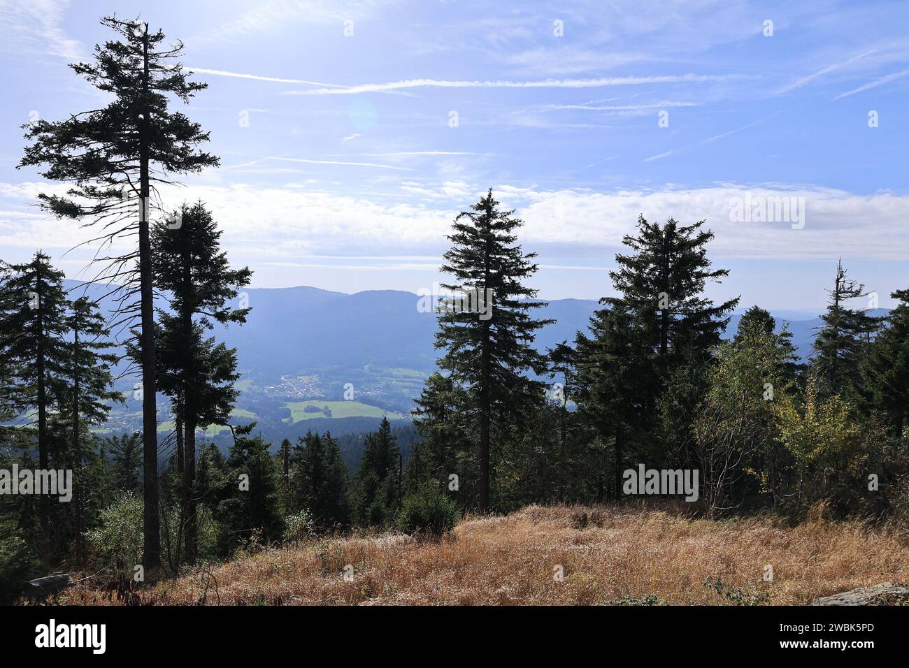 Herbst am großen Osser im Bayerischen Wald Foto Stock