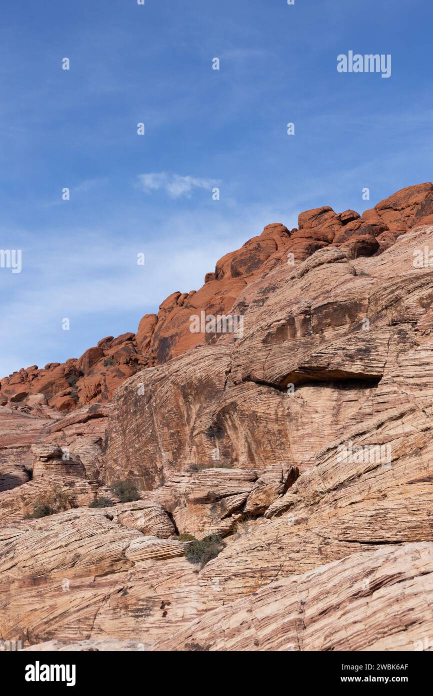 Le Calico Hills nel Red Rock Canyon vicino a Las Vegas, Nevada. Foto Stock