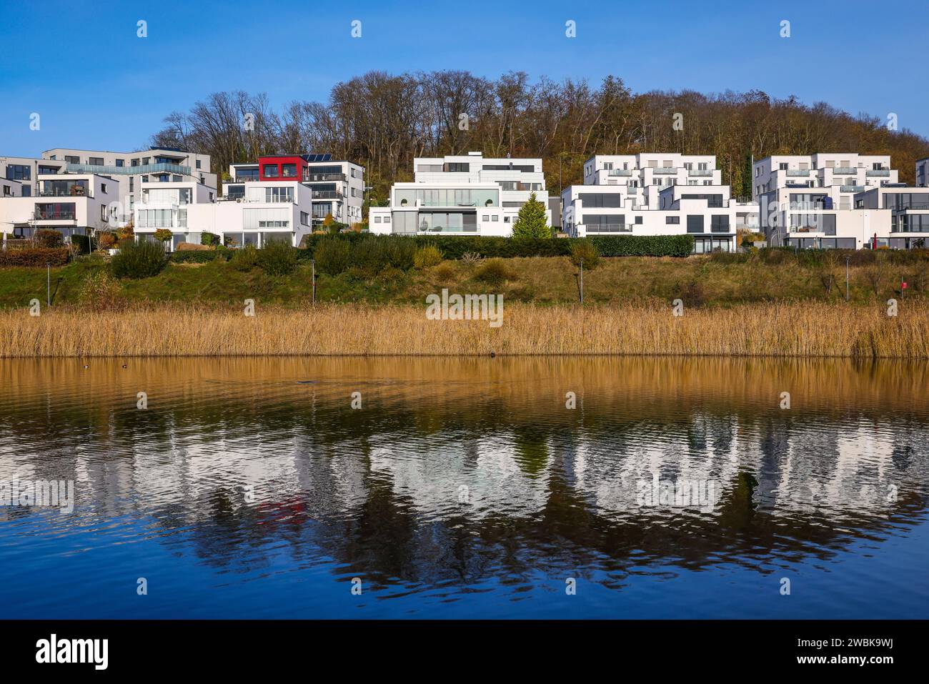 Dortmund, Renania settentrionale-Vestfalia, Germania, immobili di lusso sul lago Phoenix Foto Stock