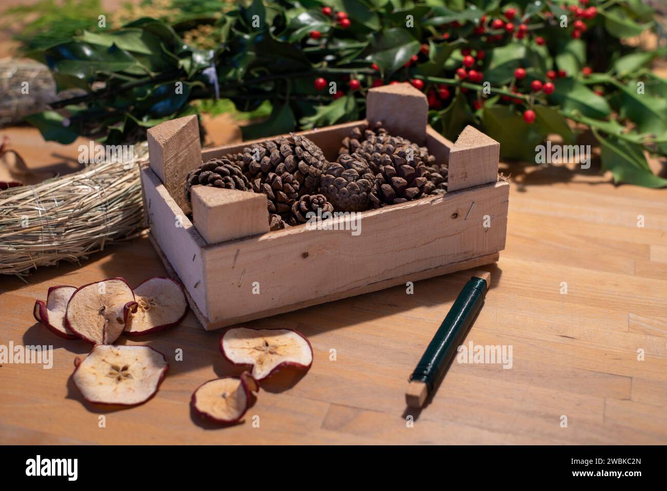 Gli spazi vuoti di ghirlanda, le mele di pino e l'holly giacciono su un tavolo. Gli utensili sono utilizzati per creare una corona d'avvento autolegata. Foto Stock