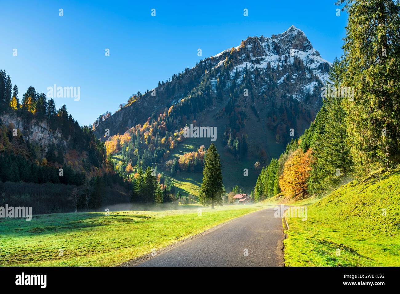 Autunno nella valle Hintersteiner vicino al Giebelhaus, cime innevate sopra la foresta autunnale colorata, Alpi Allgäu, Baviera, Germania, Europa Foto Stock