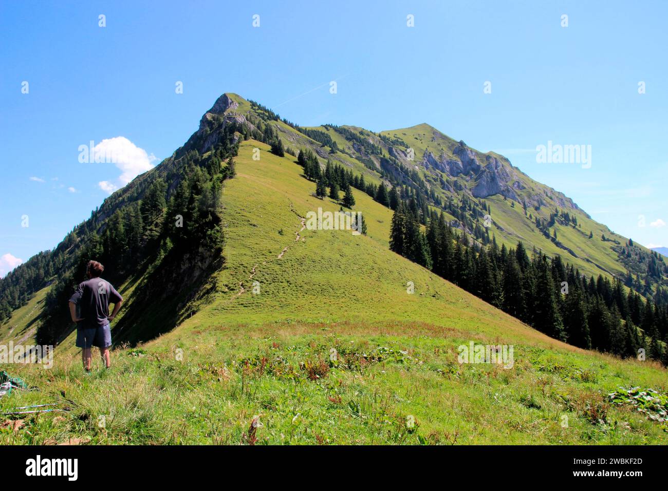 Gruppo escursionistico di 4 donne, provenienti da Gröbner Hals, vicino al Tiefenbachalm a Bächental, Eben am Achensee, Tirolo, Austria Foto Stock