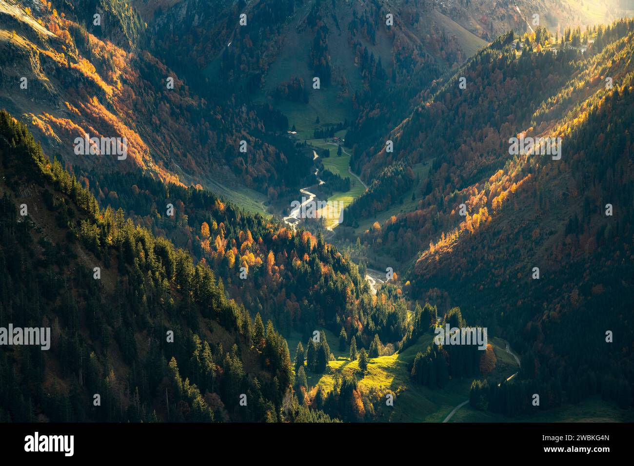 Luci e ombre nella colorata valle autunnale di Hintersteiner. Alpi di Allgäu, Baviera, Germania Foto Stock