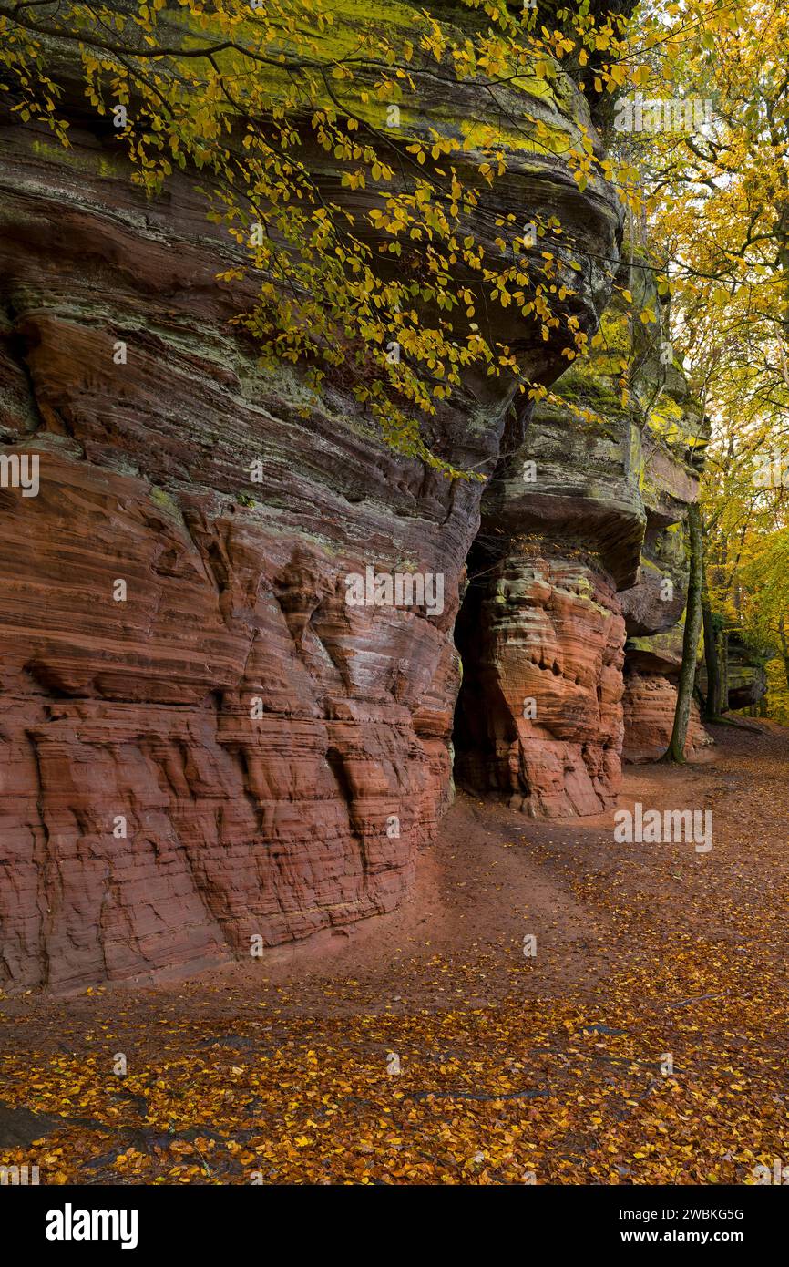 Antica roccia del castello, formazione di roccia arenaria rossa vicino a Eppenbrunn, atmosfera autunnale, Parco naturale della Foresta Palatinata, Foresta Palatinata-riserva della Biosfera dei Vosgi del Nord, Germania, Renania-Palatinato Foto Stock