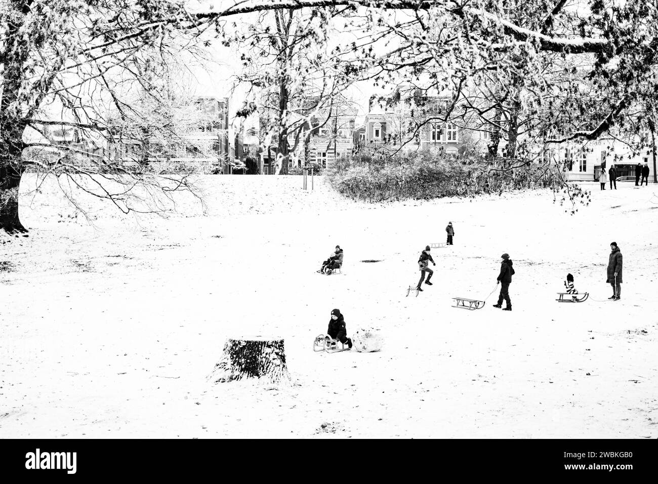 Germania, Schleswig-Holstein, Lübeck, slitta nel parco Foto Stock