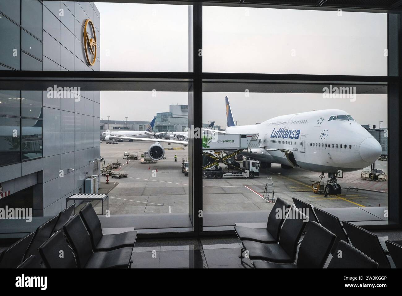 Francoforte sul meno, Assia, Germania - Lufthansa Boeing 747-8 Meclemburgo-Vorpommern aeromobili parcheggiati al cancello, Aeroporto di Francoforte sul meno, fra. Foto Stock