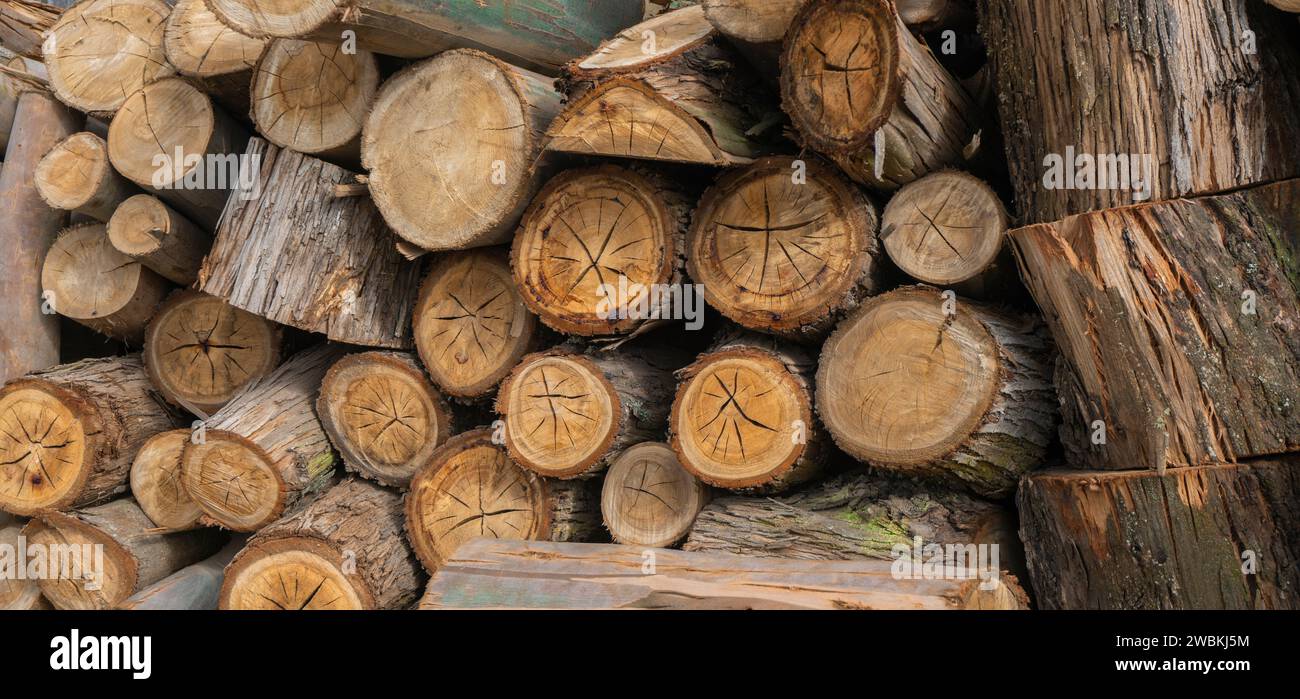 Sfondo di tronchi di legno rotondi e secchi tagliati e impilati con la luce del giorno Foto Stock