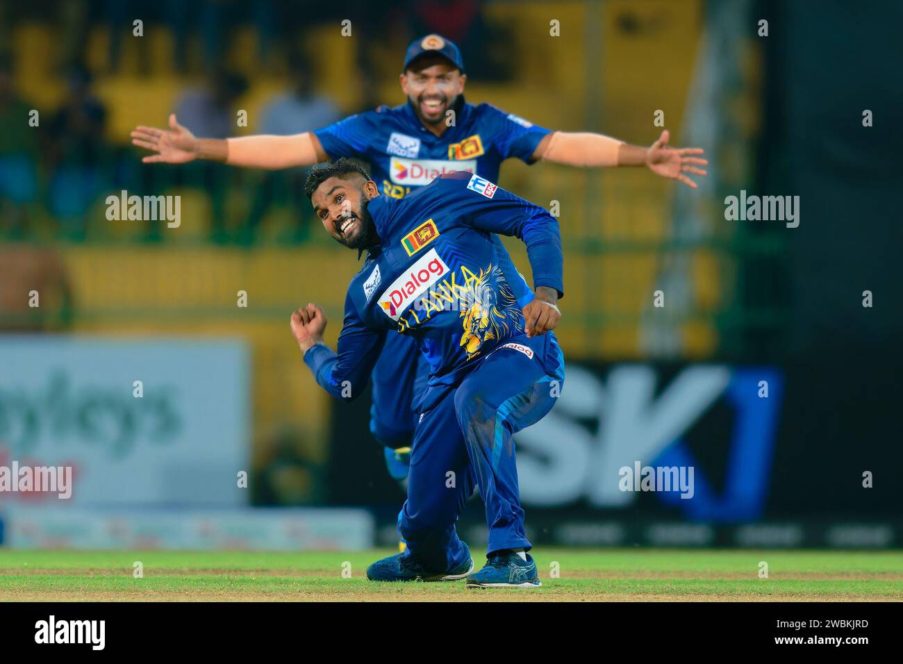 Colombo, Sri Lanka. 11 gennaio 2024. Wanindu Hasaranga, in Sri Lanka, festeggia con i compagni di squadra dopo aver preso il wicket di Milton Shumba in Zimbabwe durante la terza partita internazionale di cricket di un giorno (ODI) tra Sri Lanka e Zimbabwe al R. Premadasa Stadium di Colombo l'11 gennaio 2024. Viraj Kothalwala/Alamy Live News Foto Stock