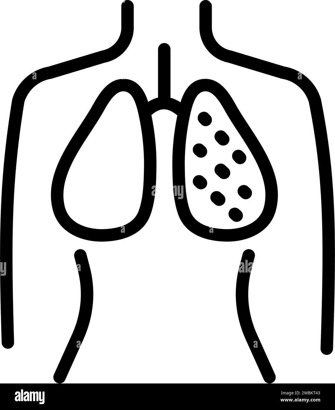 Icona lineare polmoni umani. Semplice illustrazione a linee. Anatomia del sistema respiratorio. Disegno del contorno isolato dal vettore. Illustrazione Vettoriale