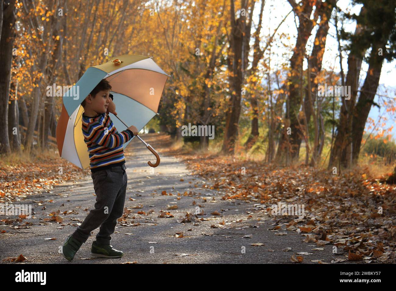 Un bambino che si diverte con un ombrello tra foglie autunnali. Foto Stock