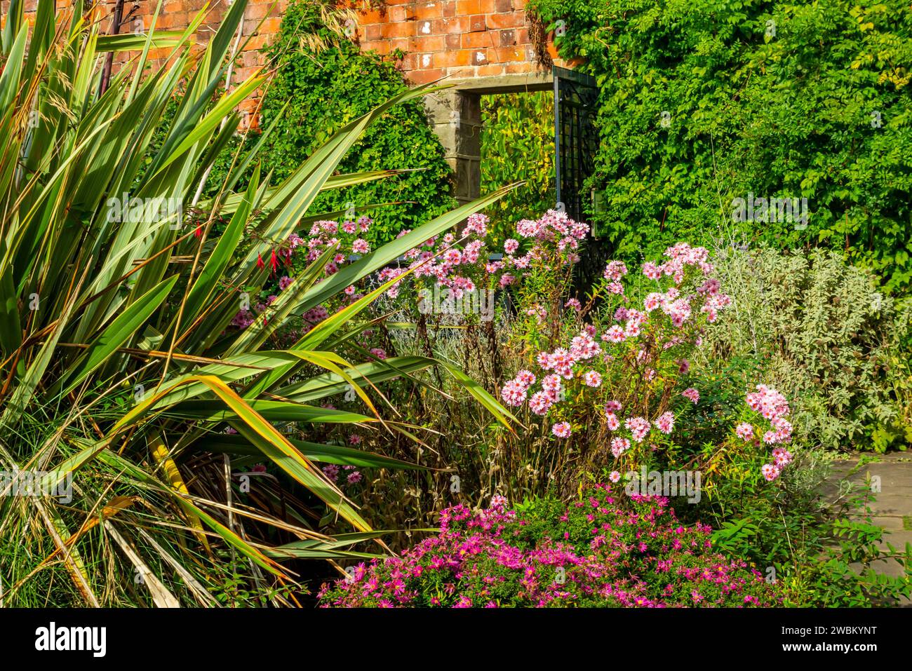 The Old English Garden un tradizionale giardino murato di colore tardo autunnale presso il castello di Elvaston vicino a Derby, Inghilterra, Regno Unito Foto Stock